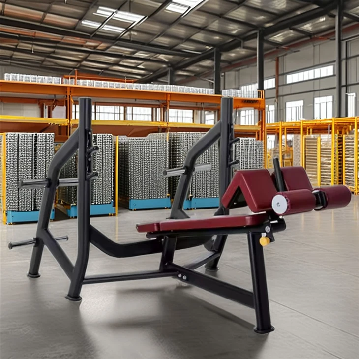 Olympic Decline Bench: Target Lower Chest Training price